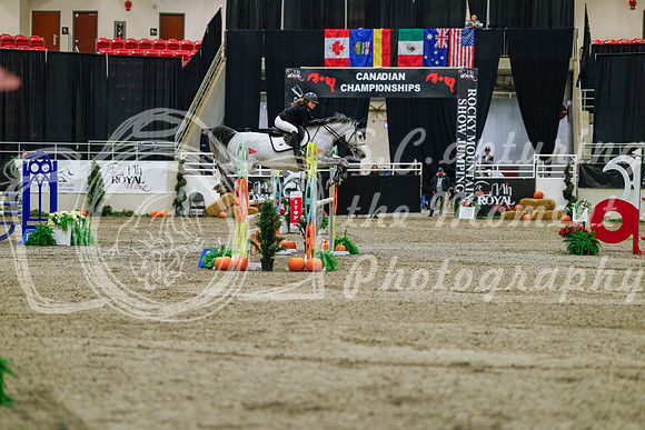 2025 - Haylee - Royal West - Saturday October 25th - 03394_1