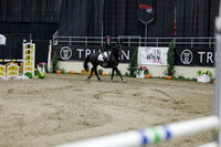 2025 - Shea - Royal West - Saturday October 25th - 01495