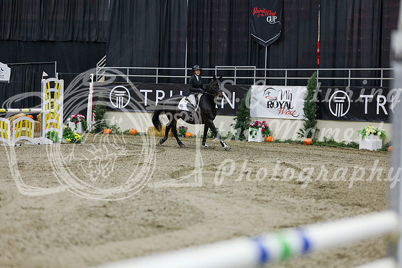 2025 - Shea - Royal West - Saturday October 25th - 01495