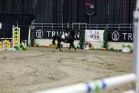2025 - Shea - Royal West - Saturday October 25th - 01496