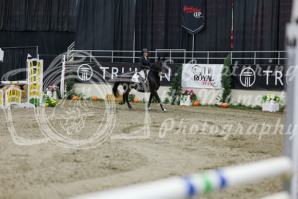 2025 - Shea - Royal West - Saturday October 25th - 01496