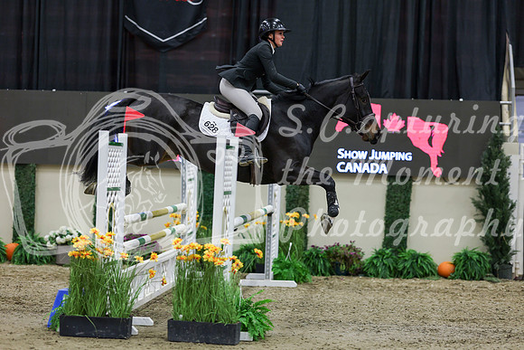 2025 - Shea - Royal West - Saturday October 25th - 01509