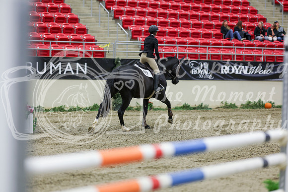 2025 - Shea - Royal West - Saturday October 25th - 01645