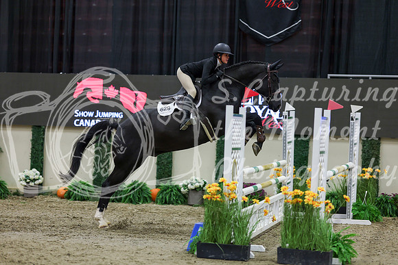 2025 - Shea - Royal West - Saturday October 25th - 01651