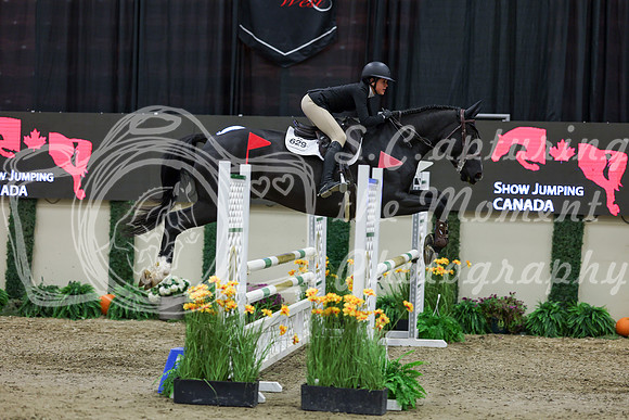 2025 - Shea - Royal West - Saturday October 25th - 01657