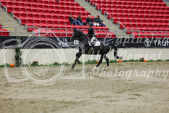 2025 - Shea - Royal West - Saturday October 25th - 01659