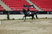 2025 - Shea - Royal West - Saturday October 25th - 01661