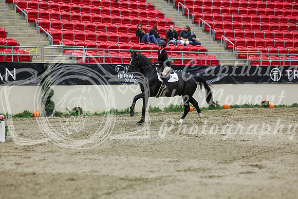 2025 - Shea - Royal West - Saturday October 25th - 01661