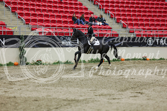 2025 - Shea - Royal West - Saturday October 25th - 01660