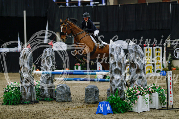 2025 - Haylee - Royal West - Saturday October 25th - 04509_1
