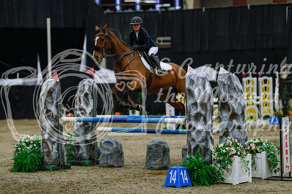 2025 - Haylee - Royal West - Saturday October 25th - 04512_1