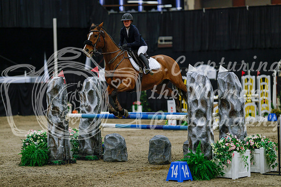 2025 - Haylee - Royal West - Saturday October 25th - 04515_1