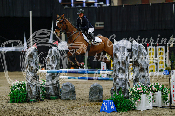 2025 - Haylee - Royal West - Saturday October 25th - 04513_1