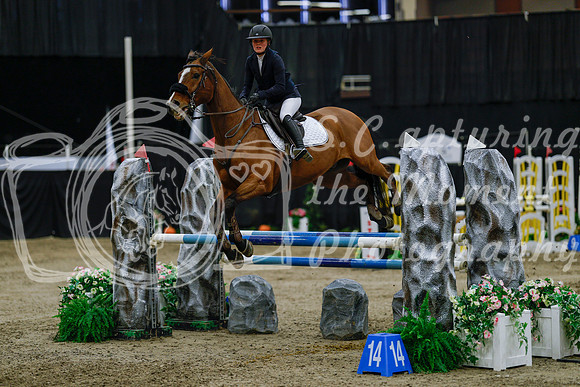 2025 - Haylee - Royal West - Saturday October 25th - 04517_1