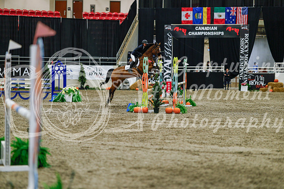 2025 - Haylee - Royal West - Saturday October 25th - 04518_1