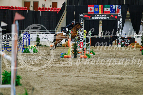 2025 - Haylee - Royal West - Saturday October 25th - 04520_1