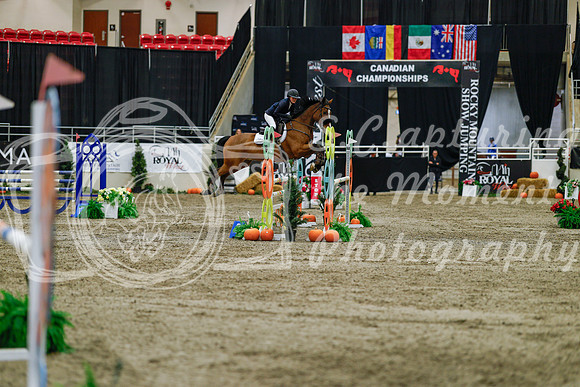 2025 - Haylee - Royal West - Saturday October 25th - 04522_1