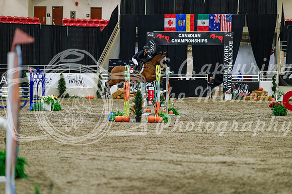 2025 - Haylee - Royal West - Saturday October 25th - 04524_1