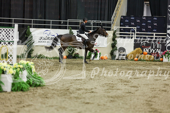 2025 - Shea - Royal West - Saturday October 25th - 07106