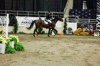 2025 - Shea - Royal West - Saturday October 25th - 07107