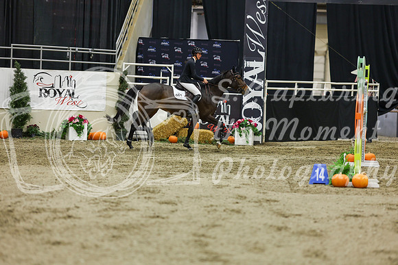 2025 - Shea - Royal West - Saturday October 25th - 07109