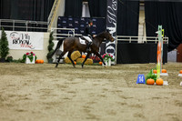 2025 - Shea - Royal West - Saturday October 25th - 07111