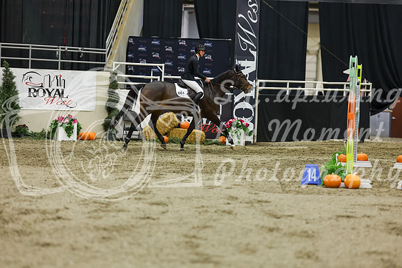 2025 - Shea - Royal West - Saturday October 25th - 07111