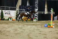 2025 - Shea - Royal West - Saturday October 25th - 07110