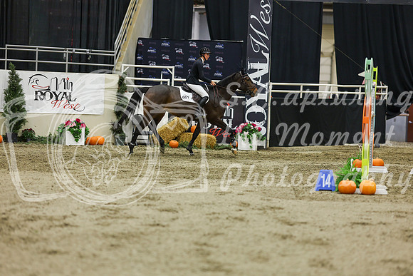 2025 - Shea - Royal West - Saturday October 25th - 07110