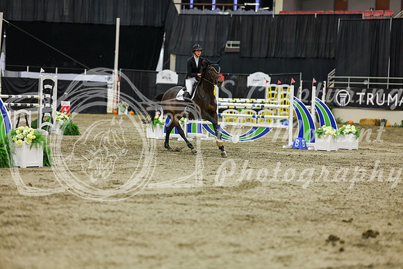 2025 - Shea - Royal West - Saturday October 25th - 07112