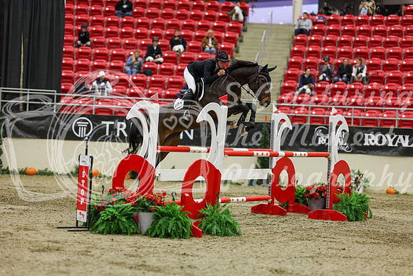 2025 - Shea - Royal West - Saturday October 25th - 07122