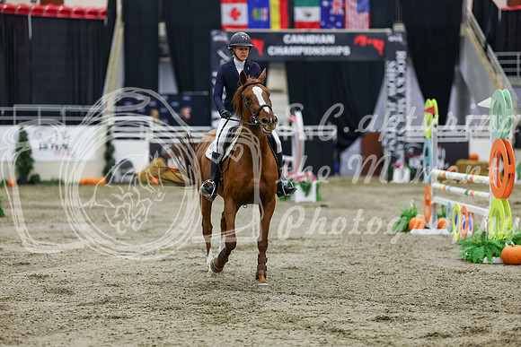 2025 - Shea - Royal West - Saturday October 25th - 02022