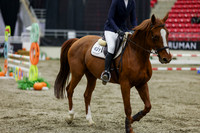 2025 - Shea - Royal West - Saturday October 25th - 02027
