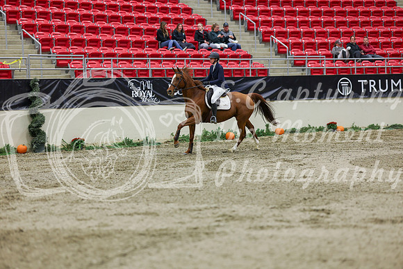 2025 - Shea - Royal West - Saturday October 25th - 02037