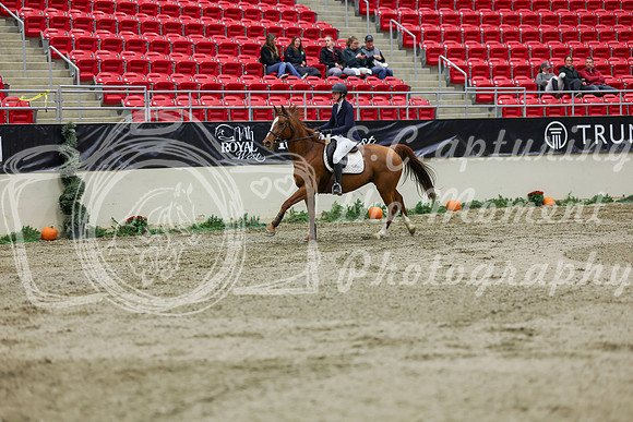 2025 - Shea - Royal West - Saturday October 25th - 02038