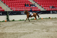 2025 - Shea - Royal West - Saturday October 25th - 02039