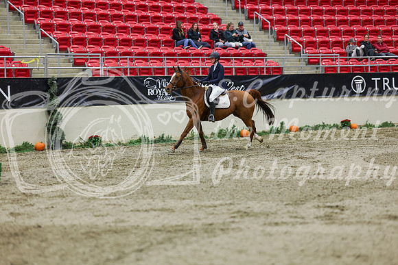 2025 - Shea - Royal West - Saturday October 25th - 02039