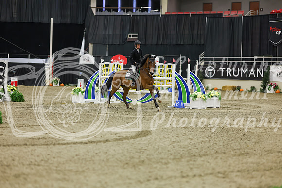2025 - Shea - Royal West - Saturday October 25th - 06013