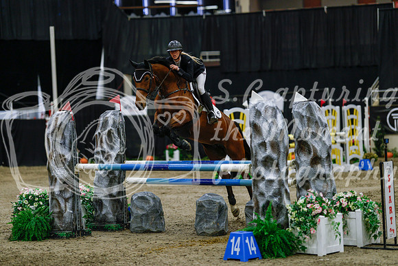 2025 - Haylee - Royal West - Saturday October 25th - 04255_1