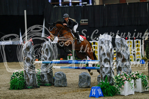 2025 - Haylee - Royal West - Saturday October 25th - 04257_1