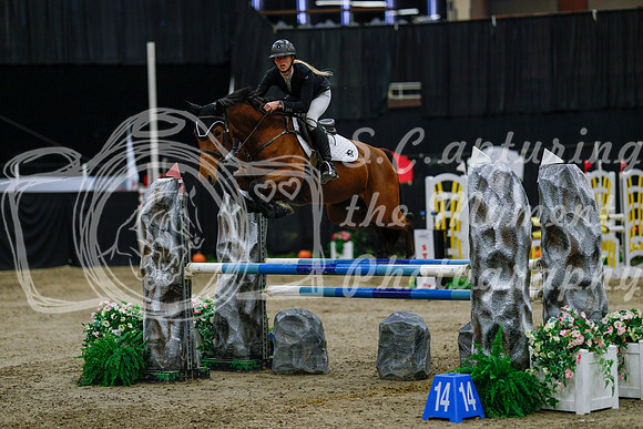 2025 - Haylee - Royal West - Saturday October 25th - 04261_1