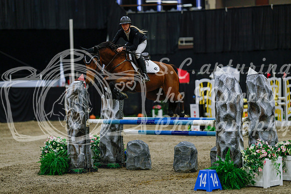 2025 - Haylee - Royal West - Saturday October 25th - 04262_1