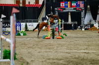 2025 - Haylee - Royal West - Saturday October 25th - 04264_1