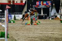 2025 - Haylee - Royal West - Saturday October 25th - 04266_1