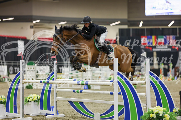 2025 - Shea - Royal West - Saturday October 25th - 07415