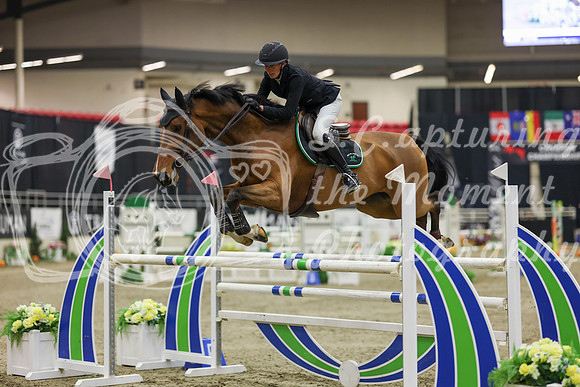 2025 - Shea - Royal West - Saturday October 25th - 07417