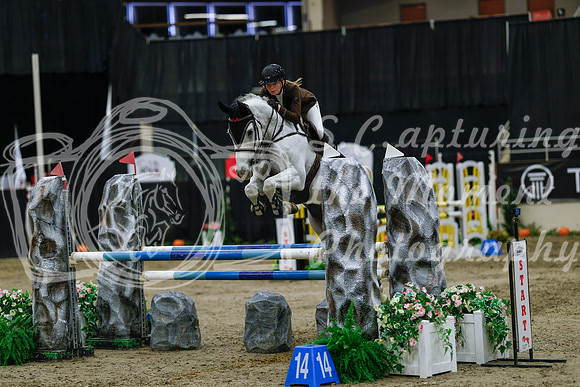 2025 - Haylee - Royal West - Saturday October 25th - 04385_1