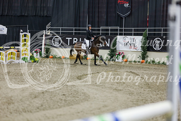 2025 - Shea - Royal West - Saturday October 25th - 01411