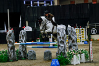 2025 - Haylee - Royal West - Saturday October 25th - 04387_1
