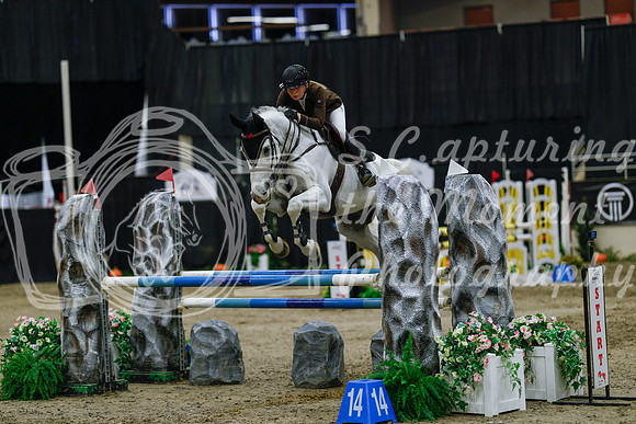 2025 - Haylee - Royal West - Saturday October 25th - 04389_1
